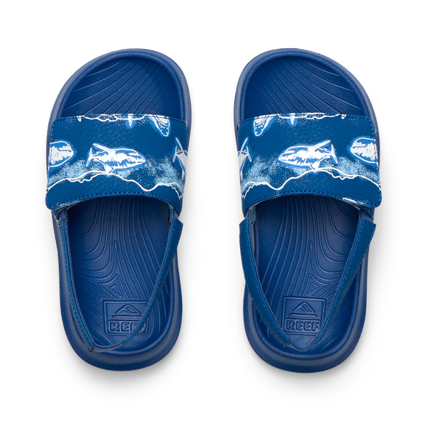 Royal Sharks