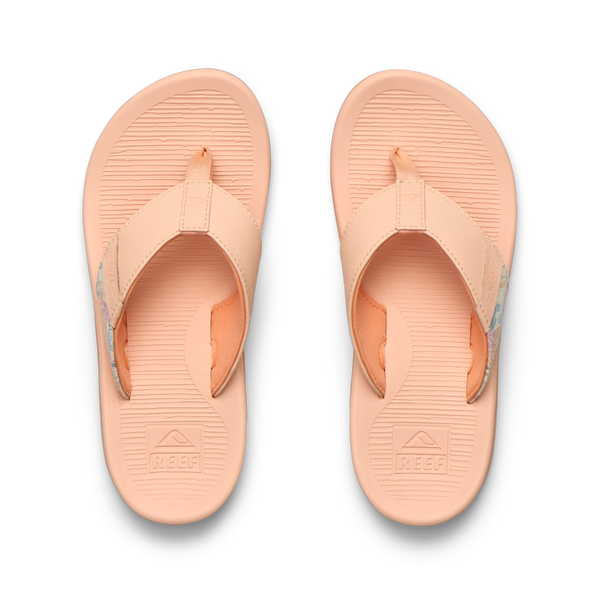 Bellini