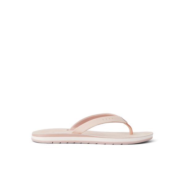 Cameo Rose