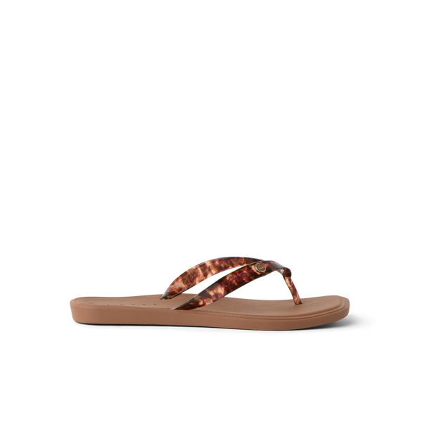 Tortoise