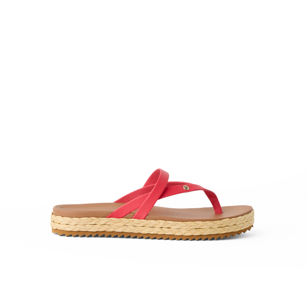Hibiscus/Tan