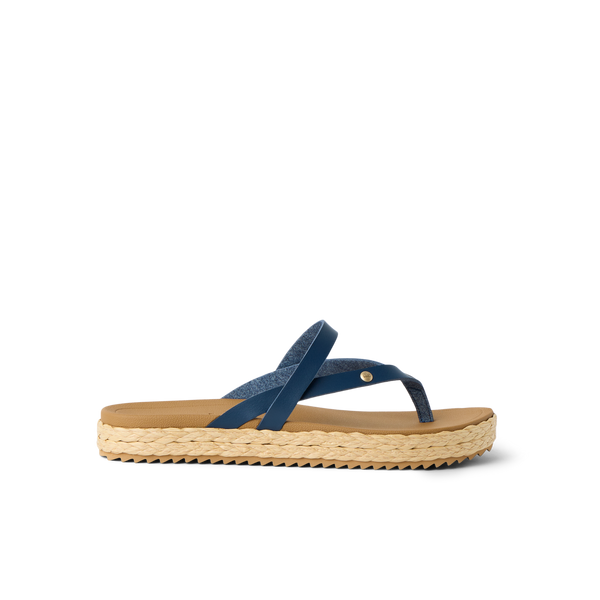 Navy/Tan