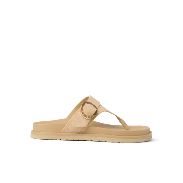 Warm Sand Suede