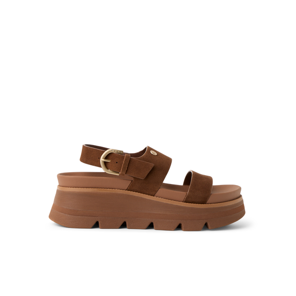 Chocolate Suede