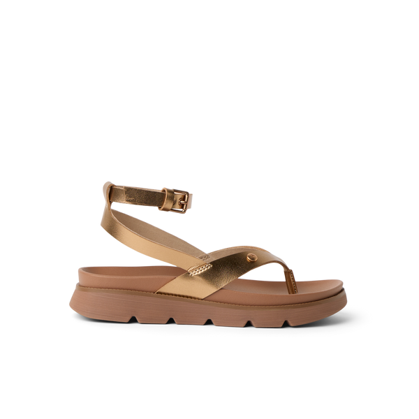 Sunset Bronze