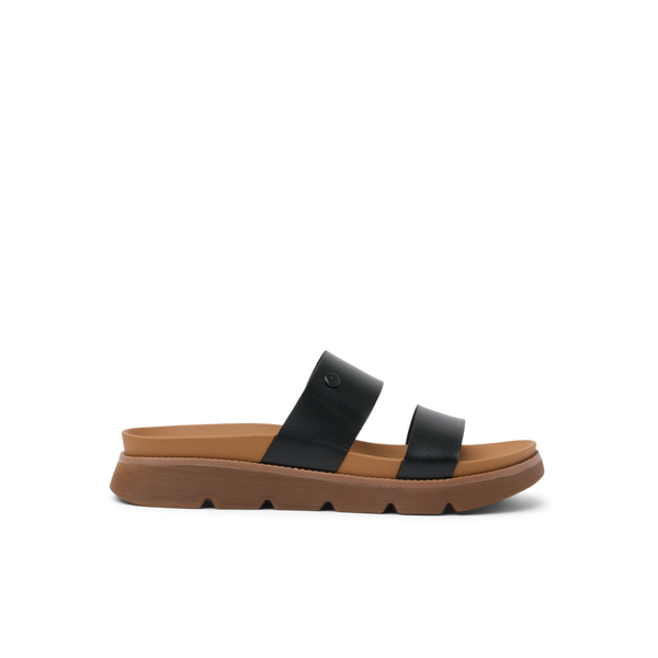 Black/Tan
