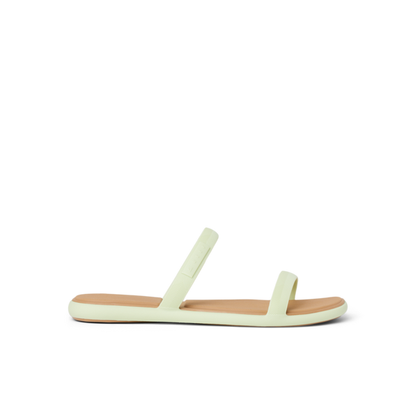 Aloe Wash