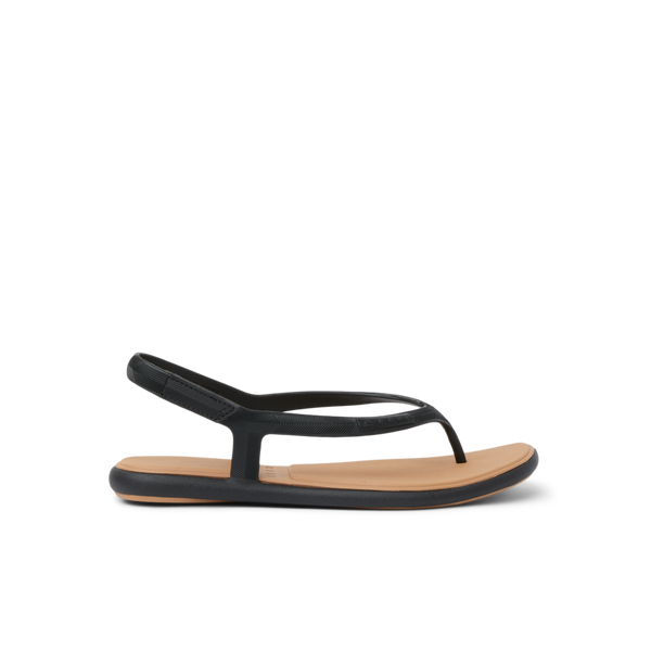 Black/Tan