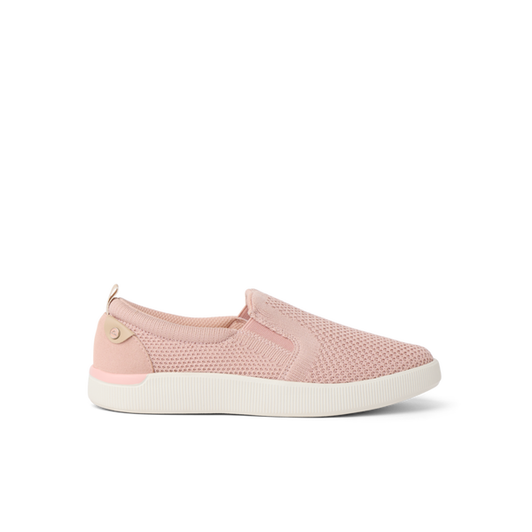 Cameo Rose