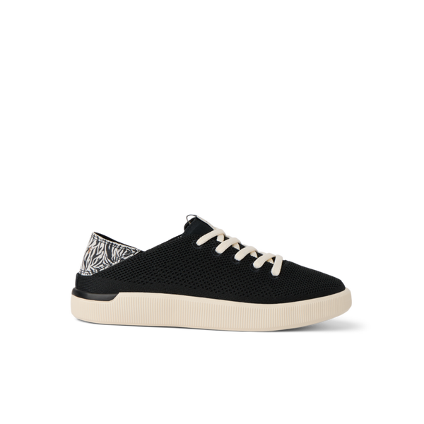 Black Zebra
